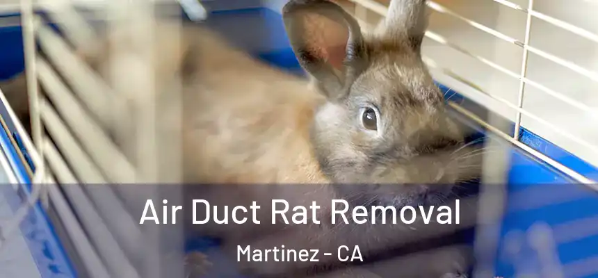  Air Duct Rat Removal Martinez - CA