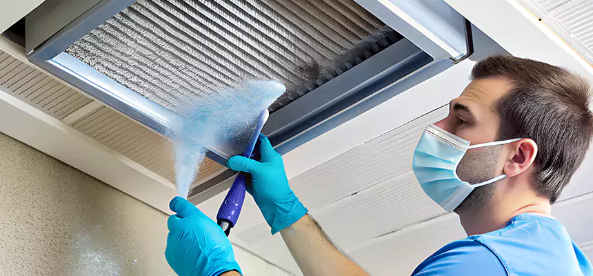 Proactive Dryer Vent & Auxiliary Duct Pollen Cleanup in Martinez, CA