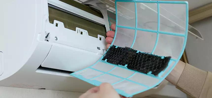 Gentle Ductwork Odor-Control Pet Dander Duct Cleaning in Martinez, CA