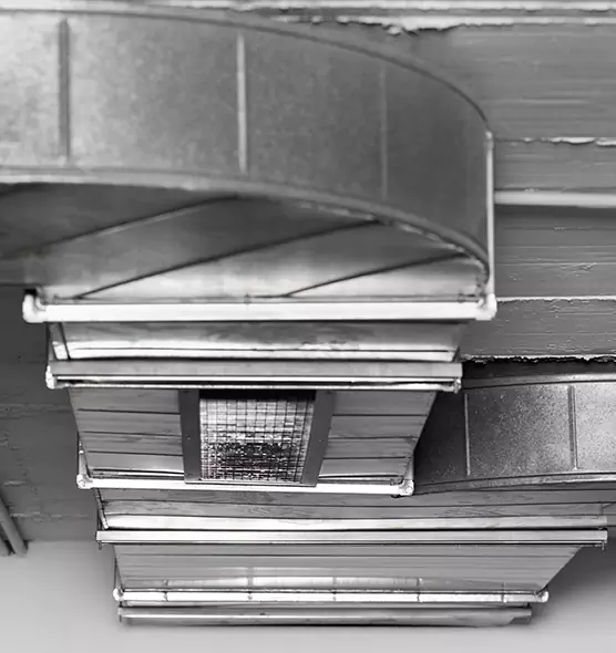 Professional Air Duct Pest Removal in Martinez, CA