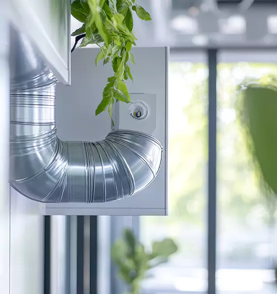 Professional Eco-Friendly Duct Cleaning Services in Martinez, CA