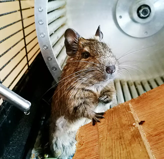 Why Homeowners & Businesses Trust Us Martinez, CA?