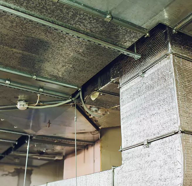 Why Homeowners & Businesses Trust Us in Martinez, CA?